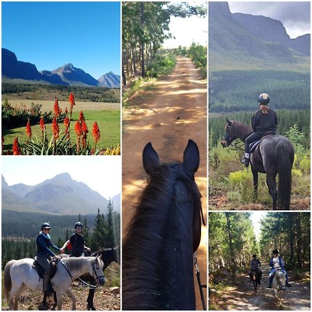 Вилла Oudebosch Guest Farm Риверсдейл Экстерьер фото
