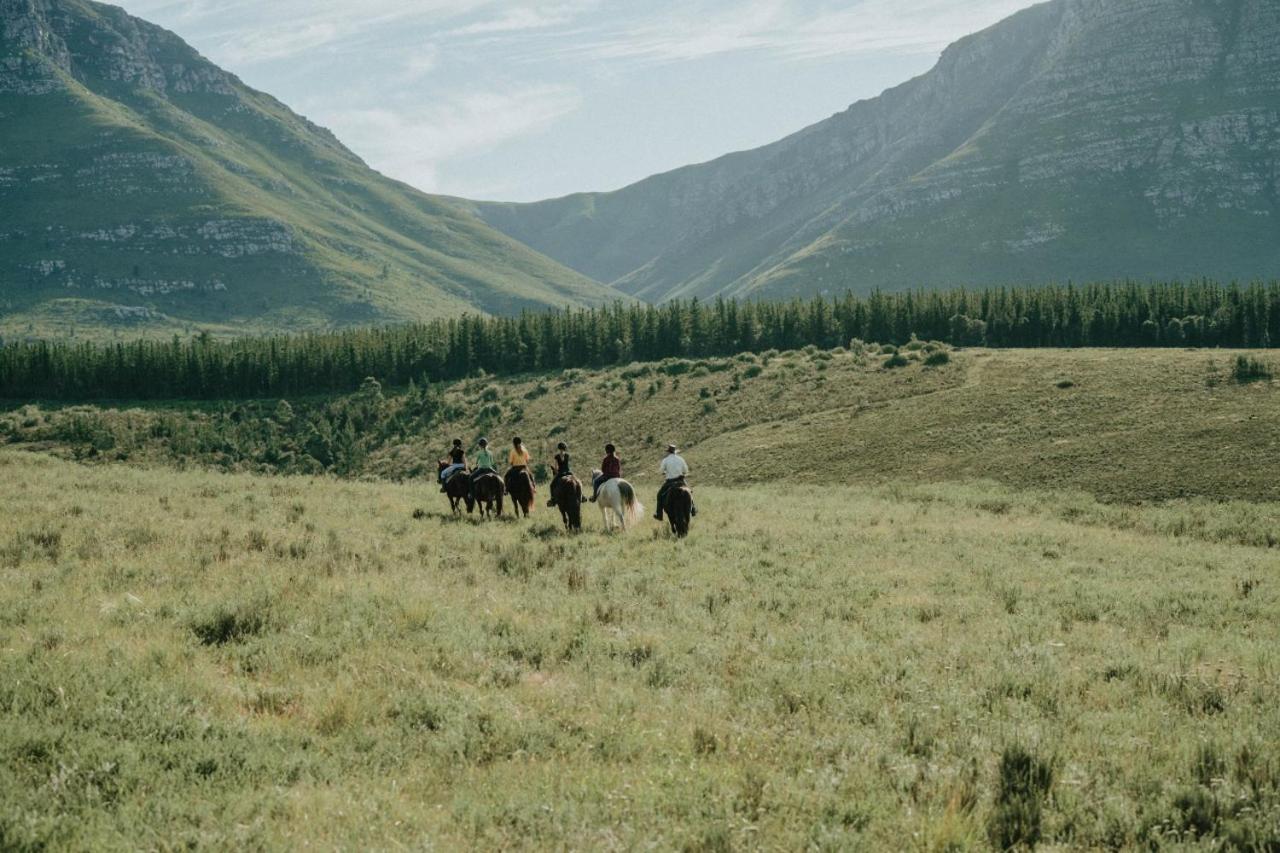 Вилла Oudebosch Guest Farm Риверсдейл Экстерьер фото